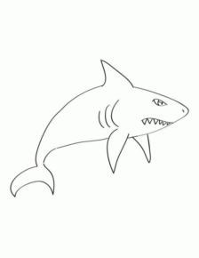 Disegno di squalo da stampare e colorare 67