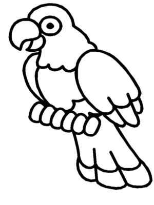 Disegno di pappagallo da stampare e colorare 10