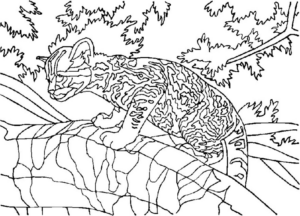 Disegno di leopardo da stampare e colorare 34