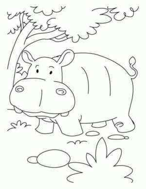 Disegno di ippopotamo da stampare e colorare 47