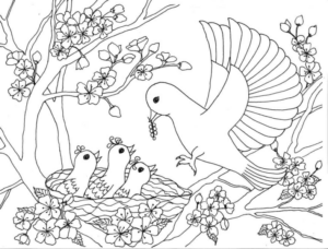 Disegno di colomba da stampare e colorare 31