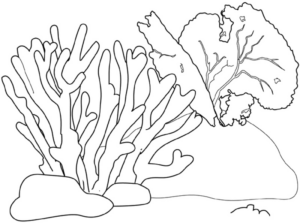 Disegno di pesce da stampare e colorare 113