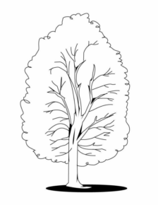 Disegno di albero da stampare e colorare 133