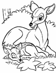 Disegno di cerbiatto da stampare e colorare 16