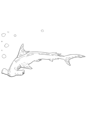 Disegno di squalo da stampare e colorare 9