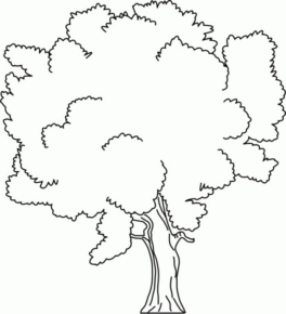 Disegno di albero da stampare e colorare 30