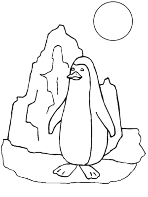 Disegno di pinguino da stampare e colorare 29