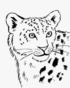 Disegno di leopardo da stampare e colorare 12