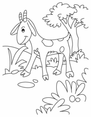 Disegno di capra da stampare e colorare 22