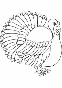 Disegno di tacchino da stampare e colorare 94