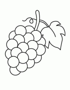 Disegno di uva da stampare e colorare 32