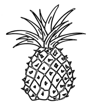 Disegno di ananas da stampare e colorare 13