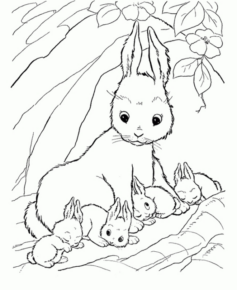 Disegno di coniglio da stampare e colorare 106
