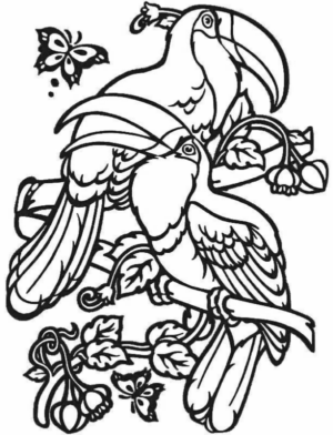Disegno di tucano da stampare e colorare 20