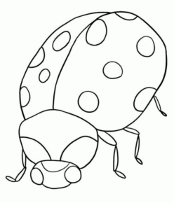Disegno di coccinella da stampare e colorare 56