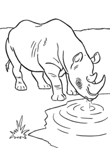 Disegno di rinoceronte da stampare e colorare 10