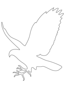 Disegno di uccello da stampare e colorare 15