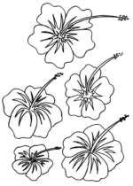 Disegni di Fiori da colorare