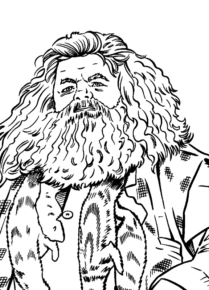 Disegno di Harry Potter da stampare e colorare 115