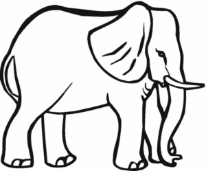 Disegno di elefante da stampare e colorare 36