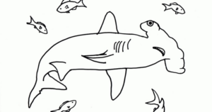 Disegno di squalo da stampare e colorare 29