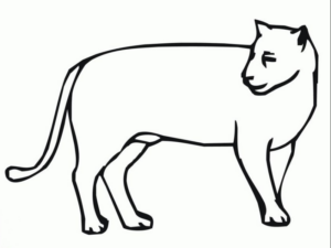 Disegno di leone da stampare e colorare 97