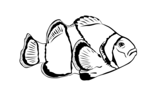 Disegno di pesce da stampare e colorare 148