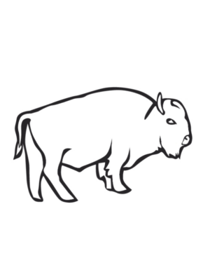 Disegno di bisonte da stampare e colorare 2