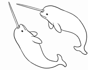 Disegno di narvalo da stampare e colorare 2