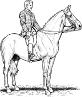 Disegni di Cavalli da colorare
