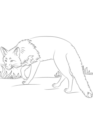 Disegno di volpe da stampare e colorare 94