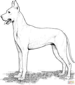 Disegno di cane da stampare e colorare 263