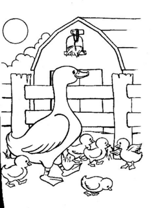 Disegno di papera da stampare e colorare 36