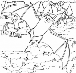 Disegno di pipistrello da stampare e colorare 22