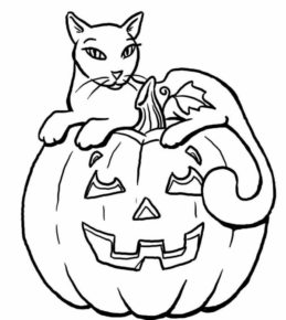 Disegno di gatto di halloween da stampare e colorare 27