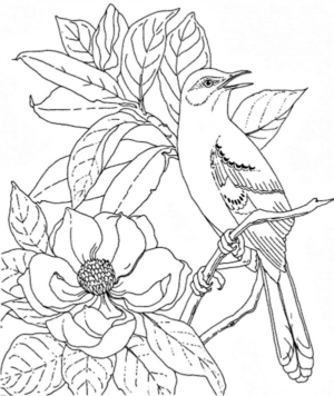 Disegno di passero da stampare e colorare 3
