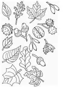 Disegno di foglia da stampare e colorare 102
