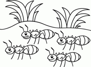 Disegno di formica da stampare e colorare 49