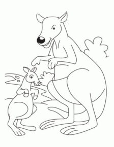 Disegno di canguro da stampare e colorare 7