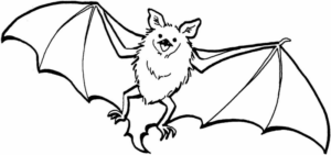 Disegno di pipistrello da stampare e colorare 20