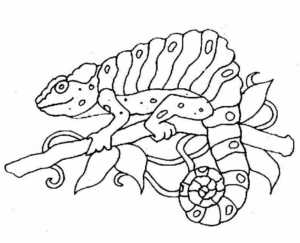 Disegno di camaleonte da stampare e colorare 16