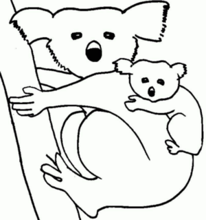 Disegno di koala da stampare e colorare 34