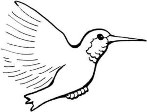 Disegno di colibr da stampare e colorare 2