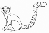 Disegni di Lemuri da colorare
