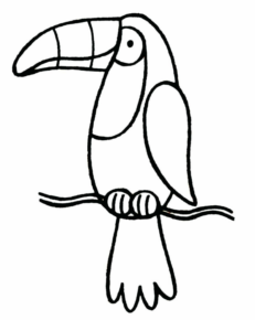 Disegno di tucano da stampare e colorare 22