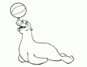 Disegno di foca da stampare e colorare 2
