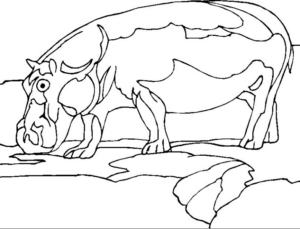 Disegno di ippopotamo da stampare e colorare 3