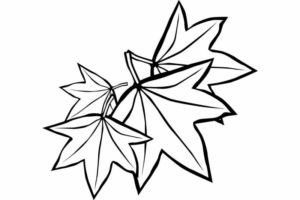 Disegno di foglia da stampare e colorare 15