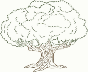 Disegno di albero da stampare e colorare 79