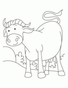 Disegno di mucca da stampare e colorare 5